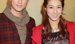 林峰钟嘉欣电视剧,共度甜蜜时光——钟嘉欣与林峰经典剧集回顾